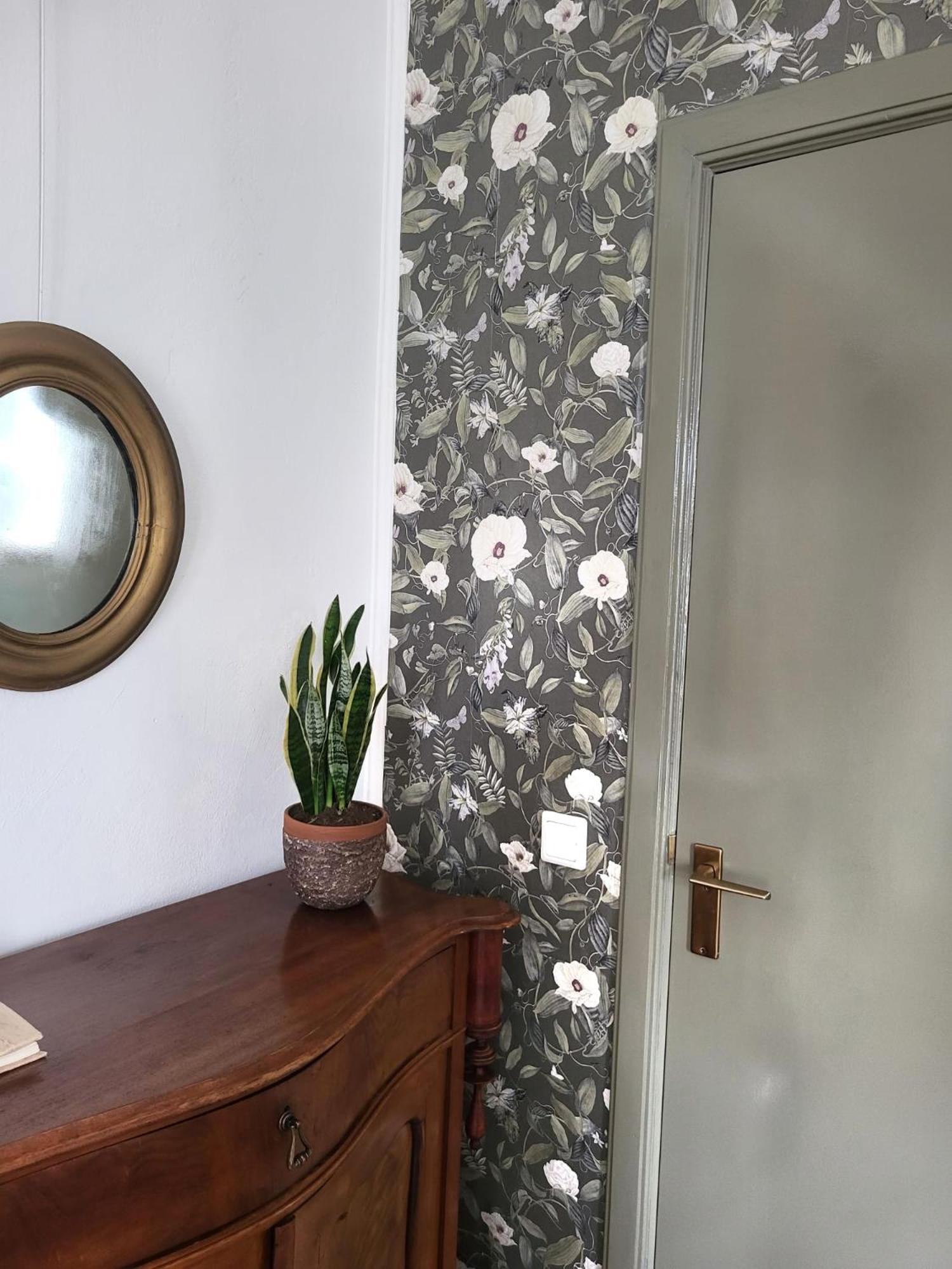 Logement Hartsuiker Hoogeveen Buitenkant foto
